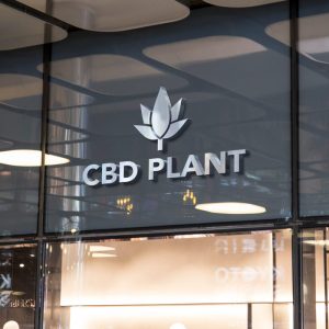 CBD plant logo design